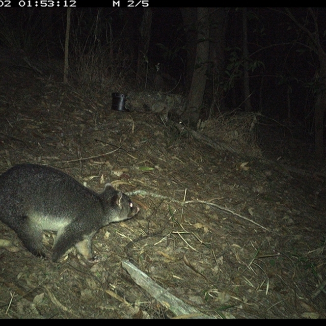 Land_Libraries_2024_LLC127_128