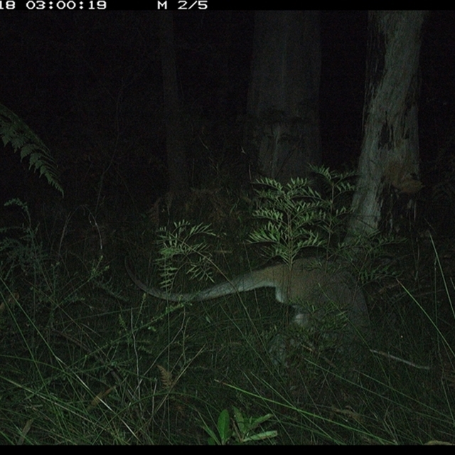 Land_Libraries_2024_LLC133_134