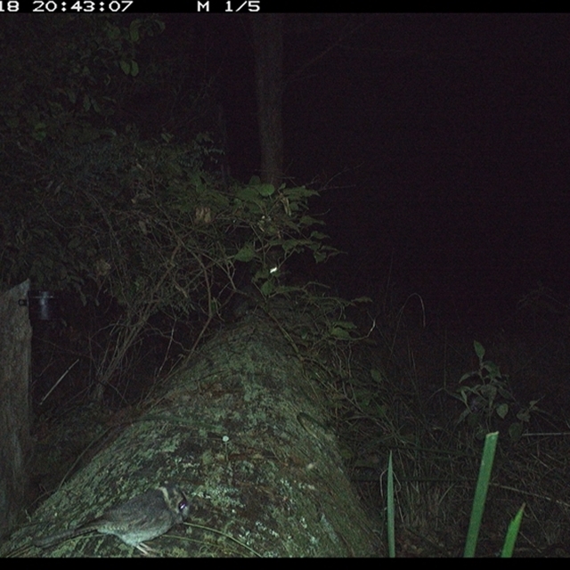 Land_Libraries_2024_LLC139_140