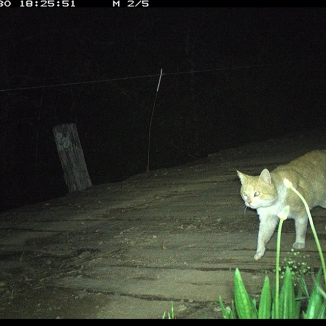 Land_Libraries_2024_LLC141_142