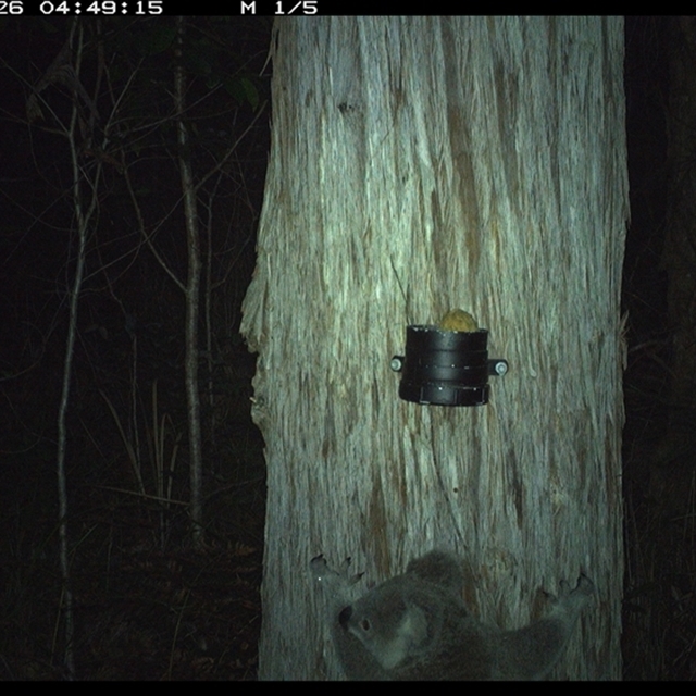 Land_Libraries_2024_LLC147_148