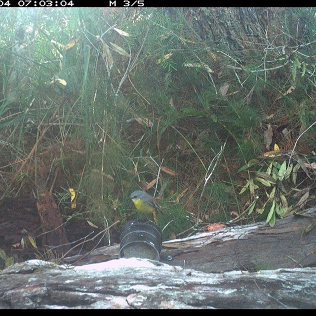 Land_Libraries_2024_LLC153_154