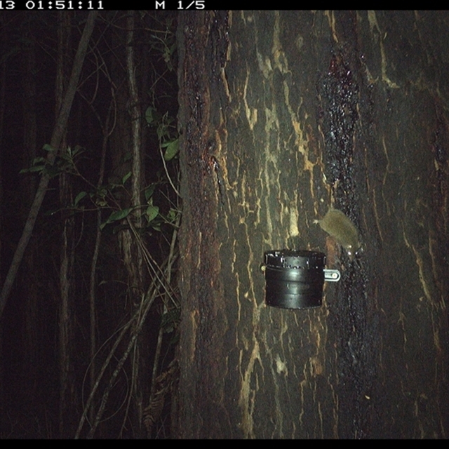 Land_Libraries_2024_LLC155_156