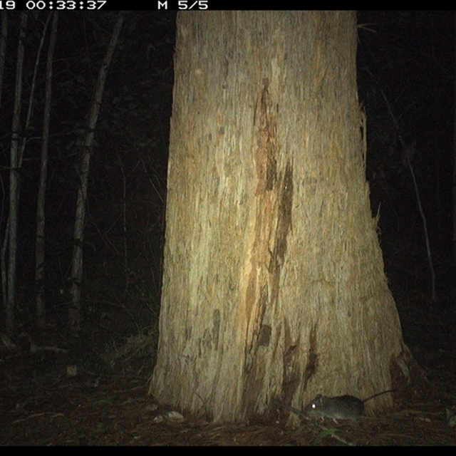 Land_Libraries_2024_LLC157_158