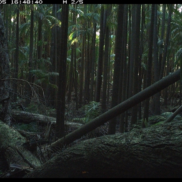 Land_Libraries_2024_LLC117_118