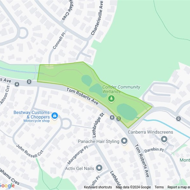 Conder Community Wetlands