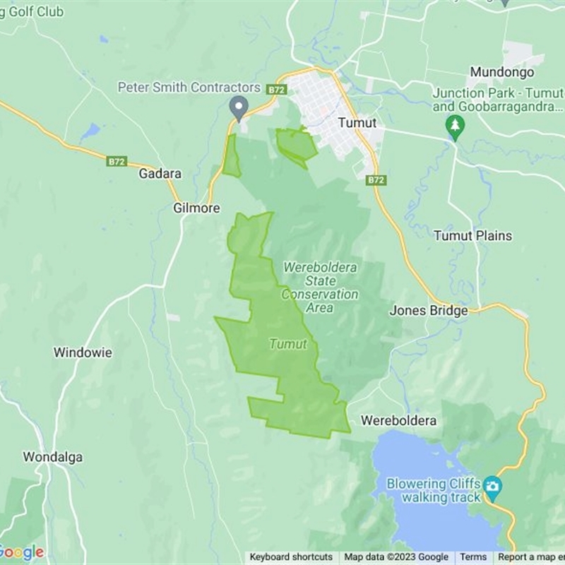 Tumut State Forest