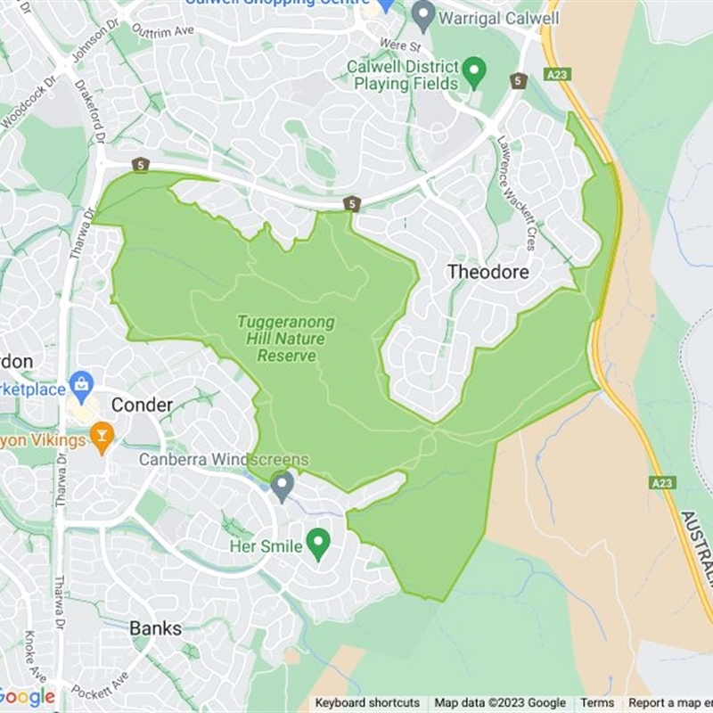 Tuggeranong Hill